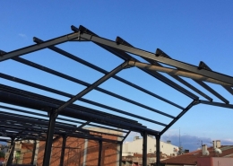 balcova-demir-dograma